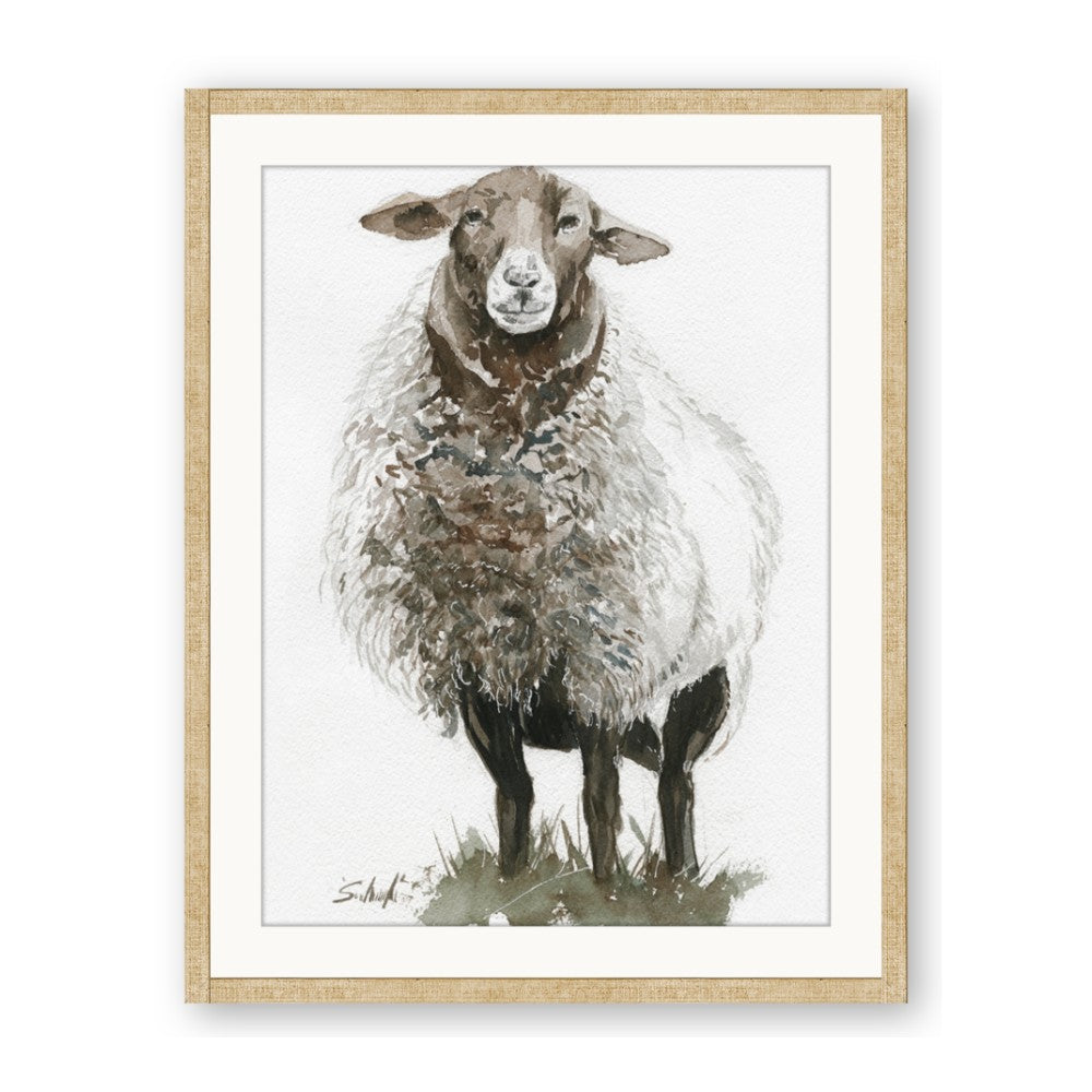 Watercolour Sheep
