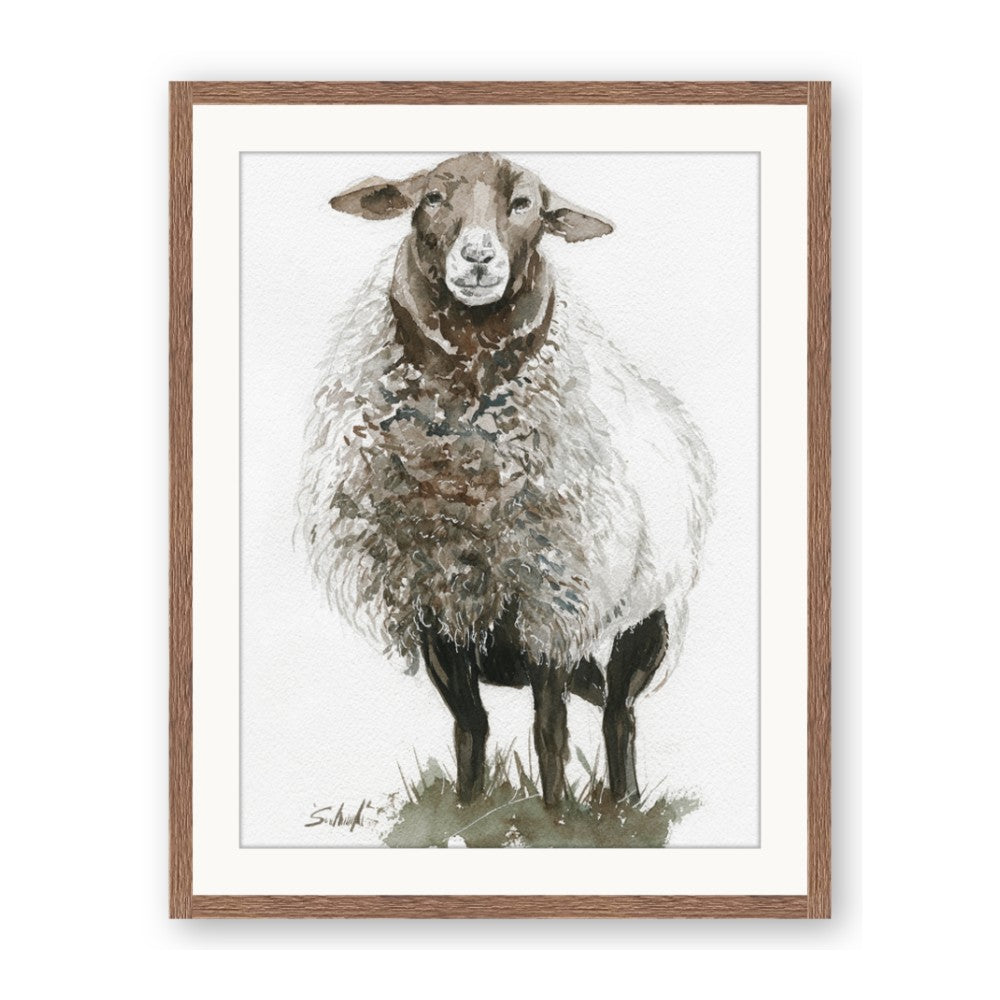 Watercolour Sheep