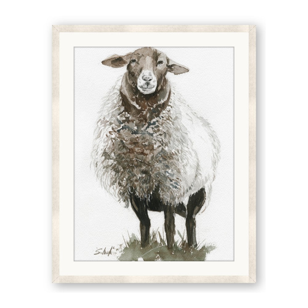 Watercolour Sheep