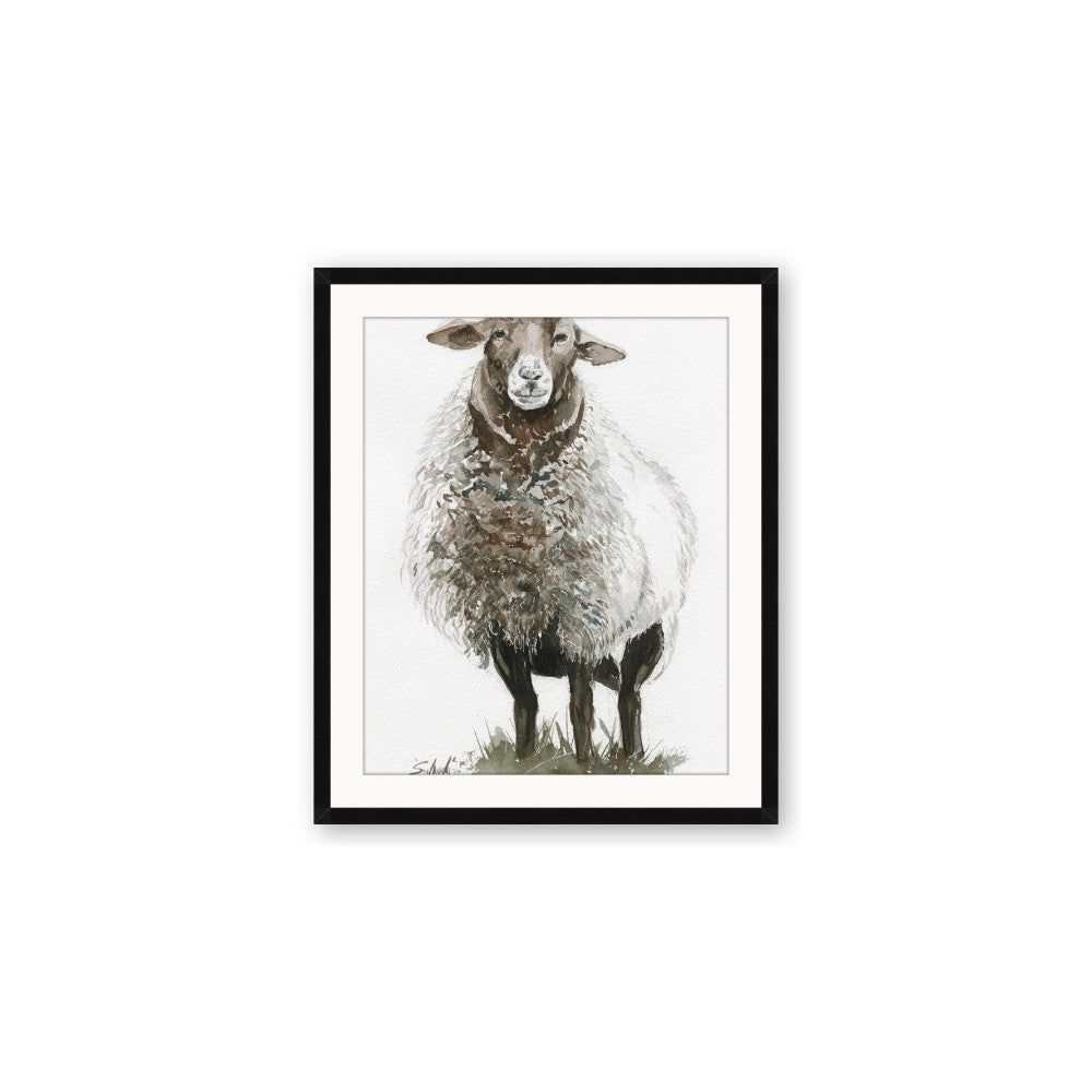 Watercolour Sheep