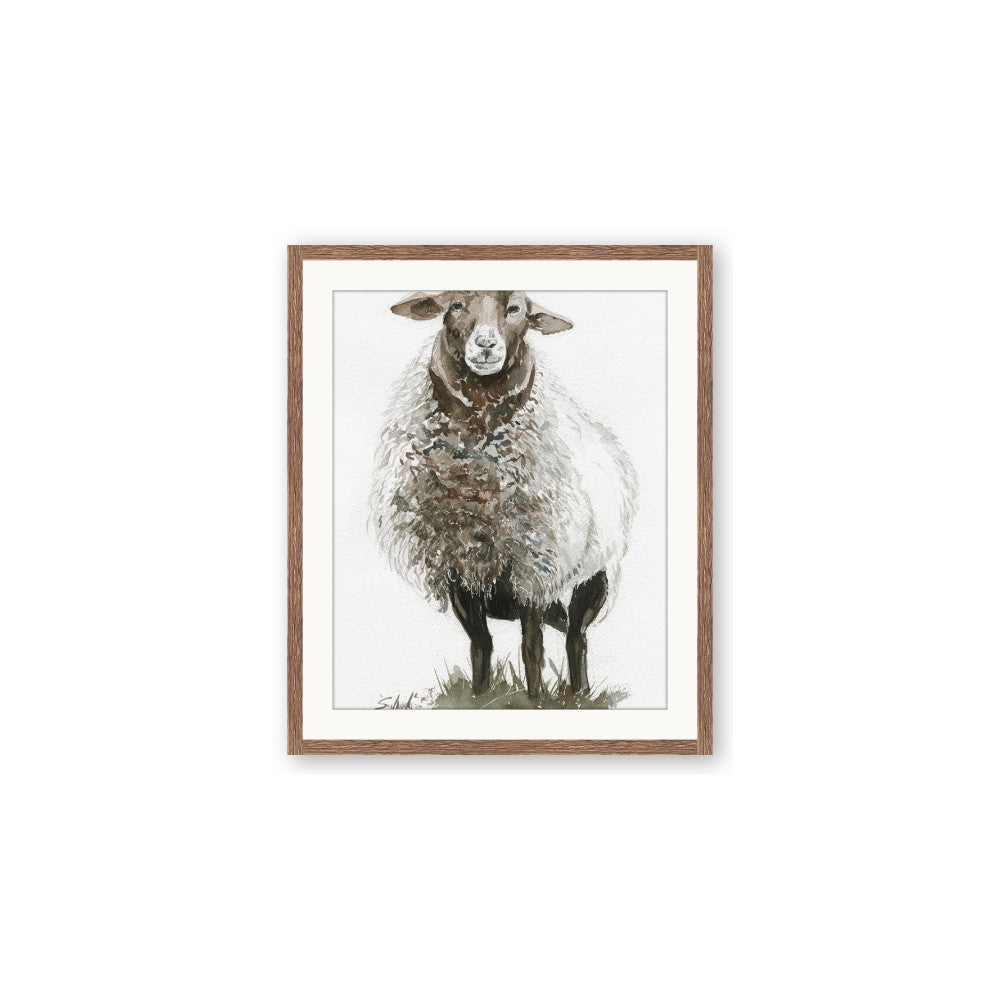 Watercolour Sheep