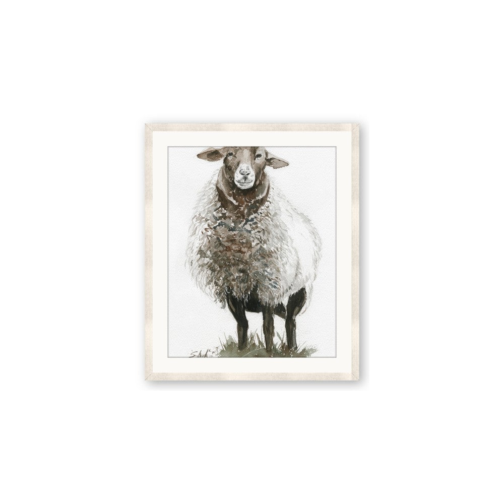 Watercolour Sheep