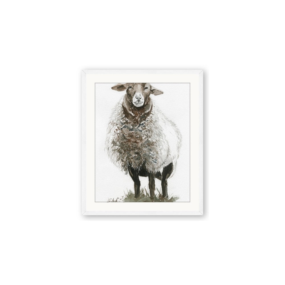Watercolour Sheep