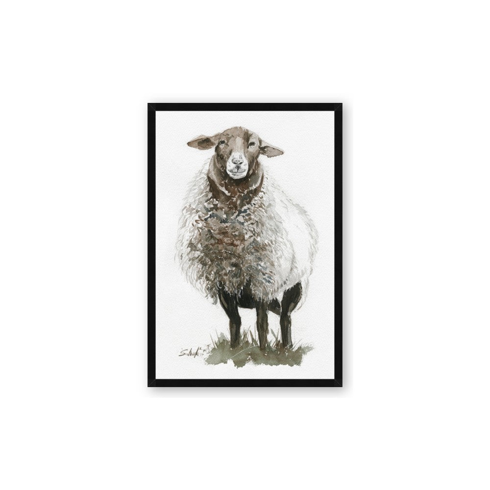 Watercolour Sheep