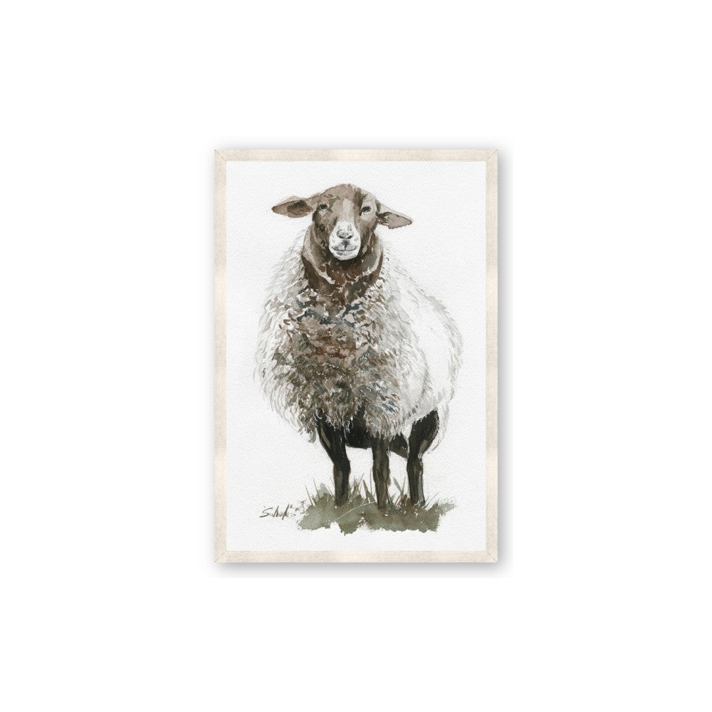 Watercolour Sheep