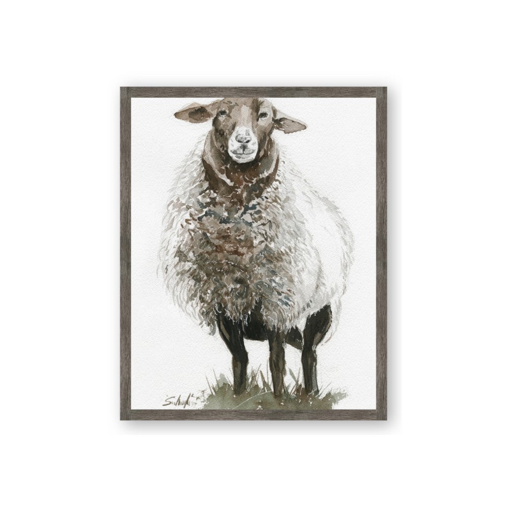 Watercolour Sheep