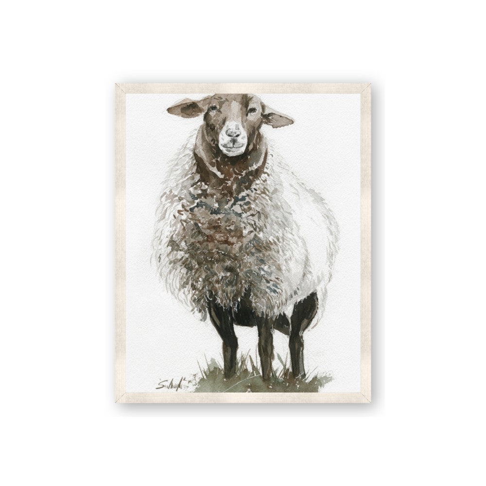 Watercolour Sheep