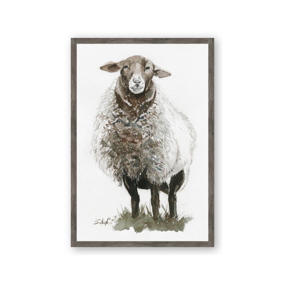 Watercolour Sheep