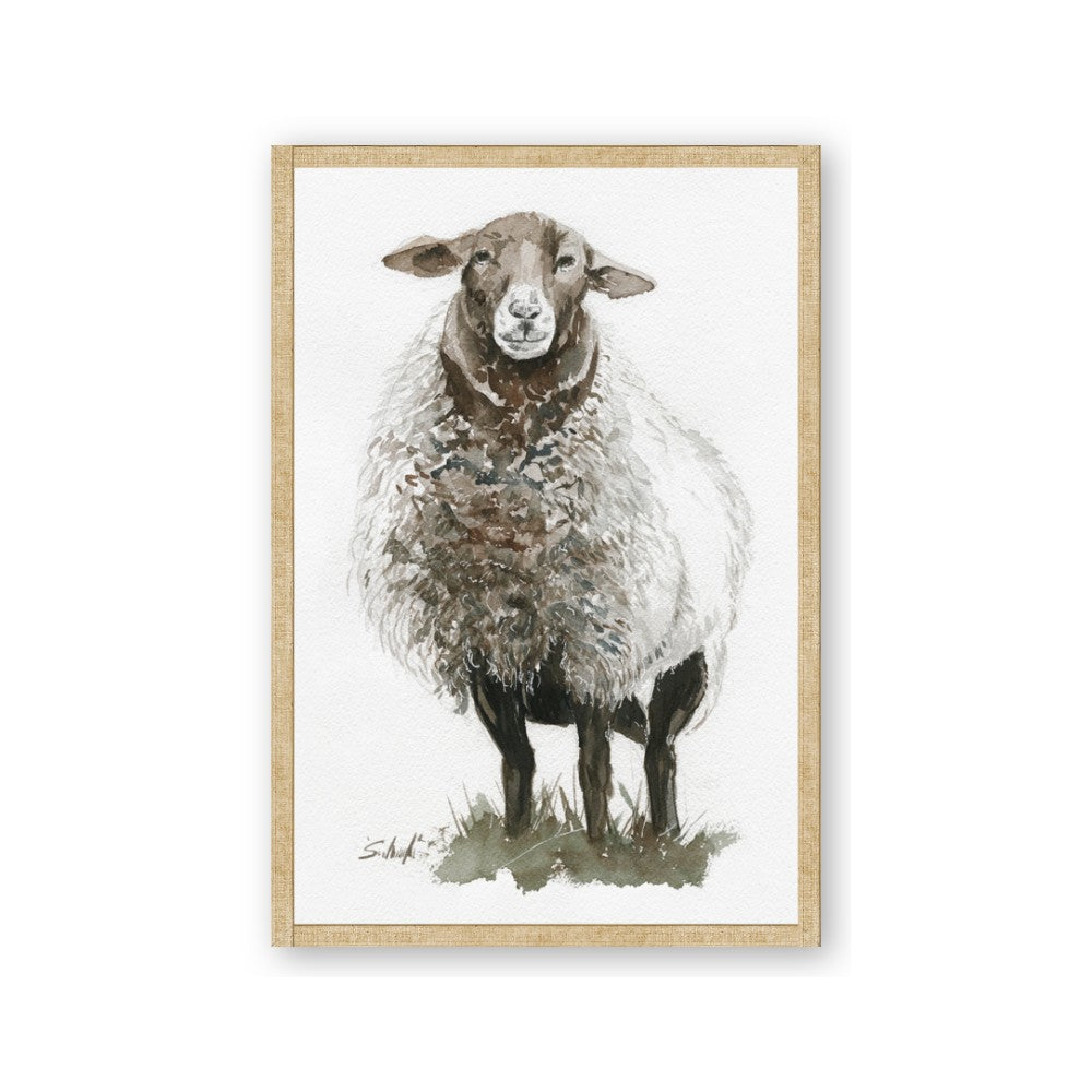 Watercolour Sheep