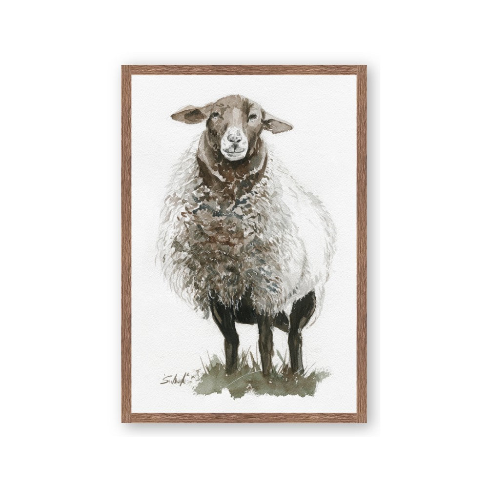 Watercolour Sheep