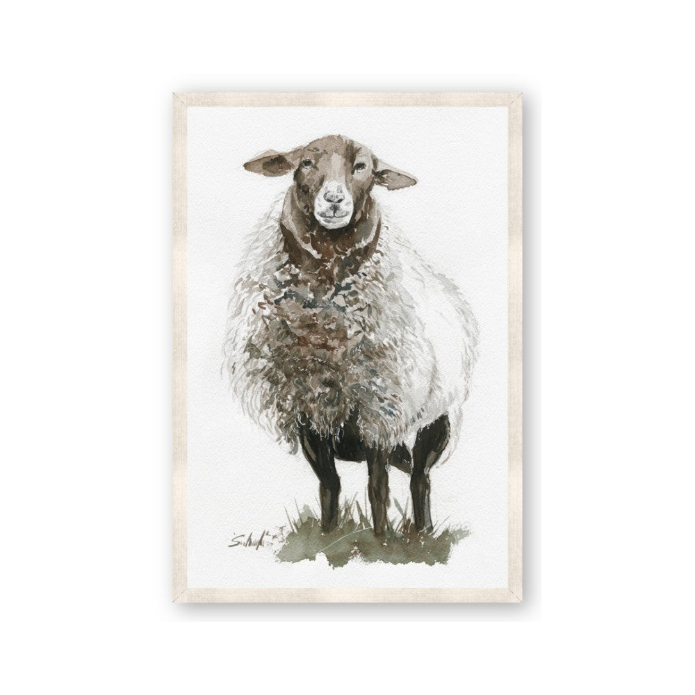 Watercolour Sheep