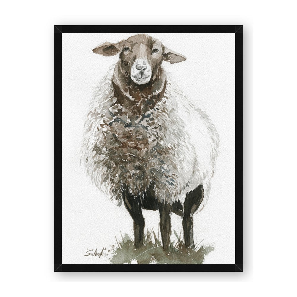 Watercolour Sheep