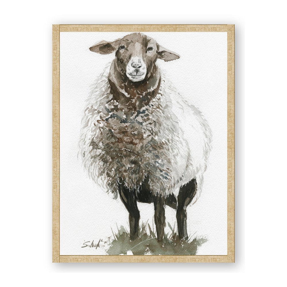 Watercolour Sheep