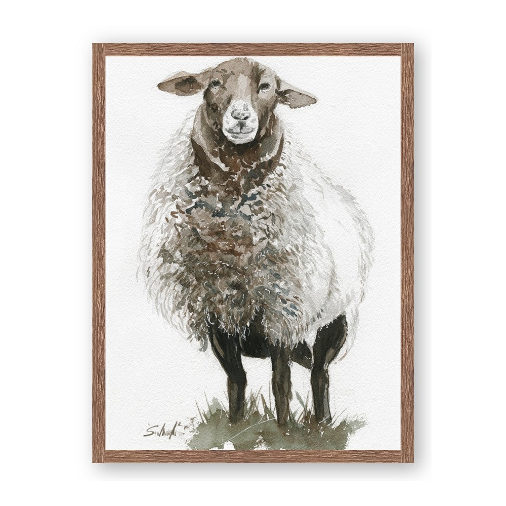 Watercolour Sheep