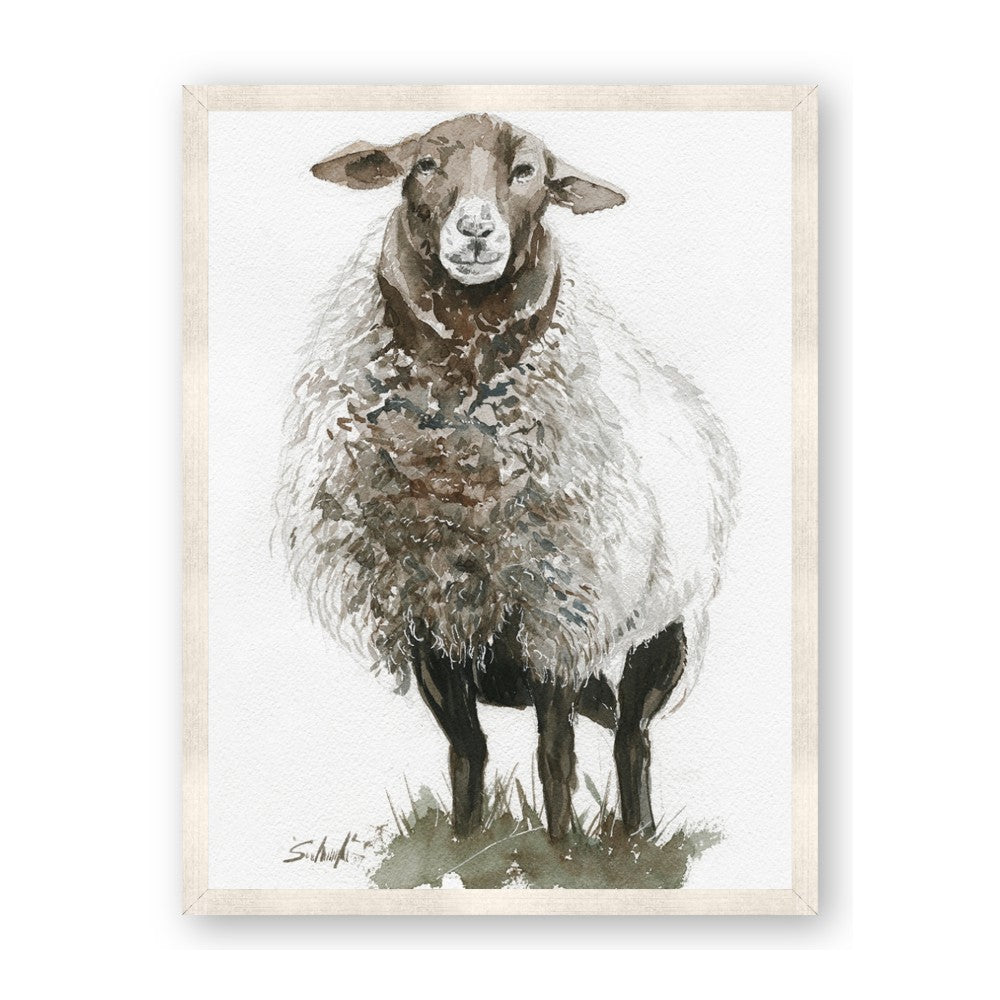 Watercolour Sheep