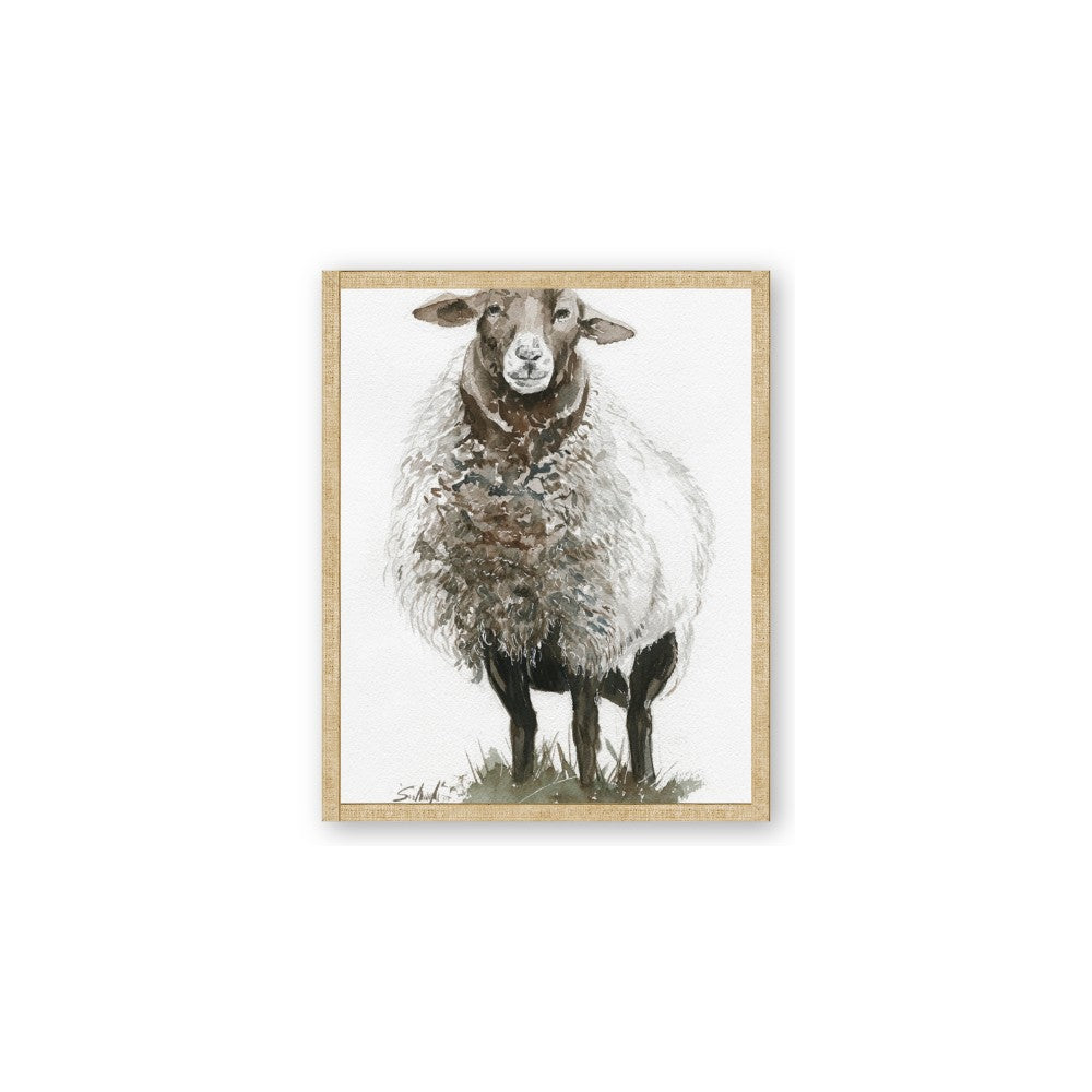 Watercolour Sheep