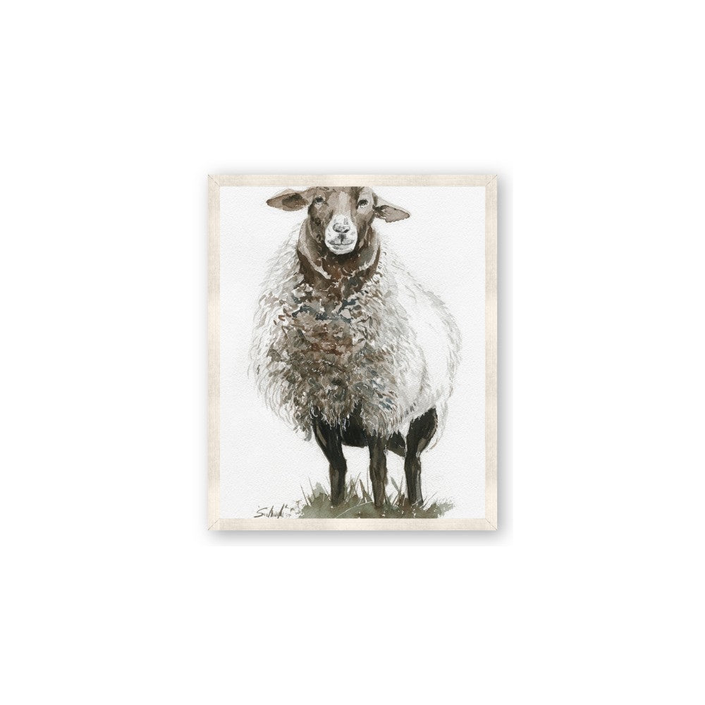 Watercolour Sheep