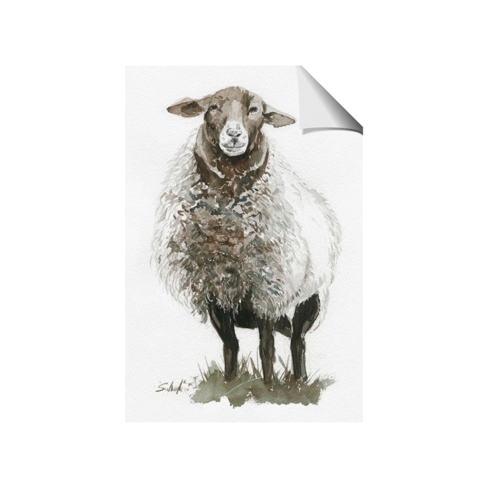 Watercolour Sheep