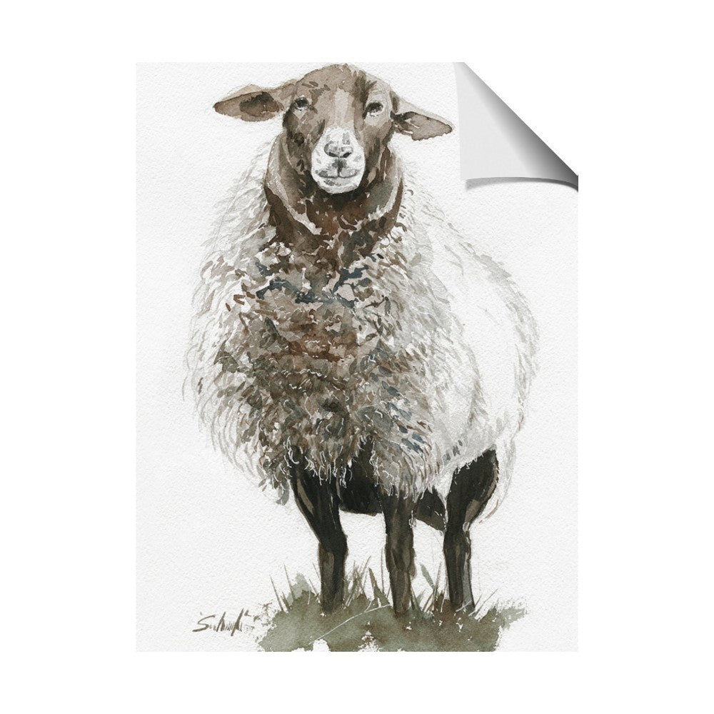 Watercolour Sheep