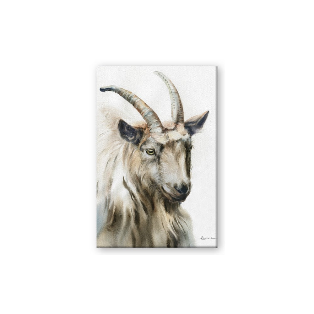 Watercolour Ram