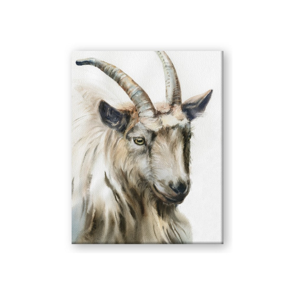 Watercolour Ram