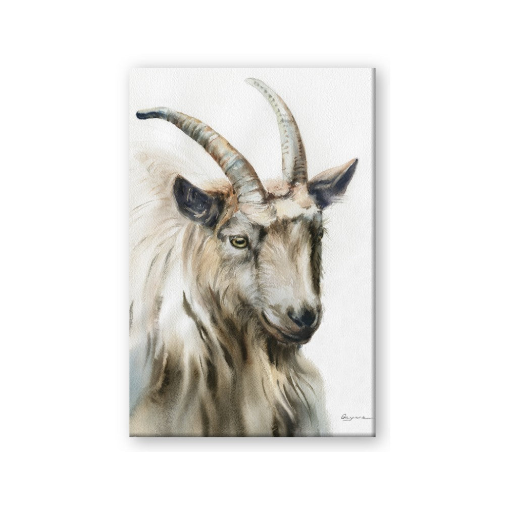 Watercolour Ram