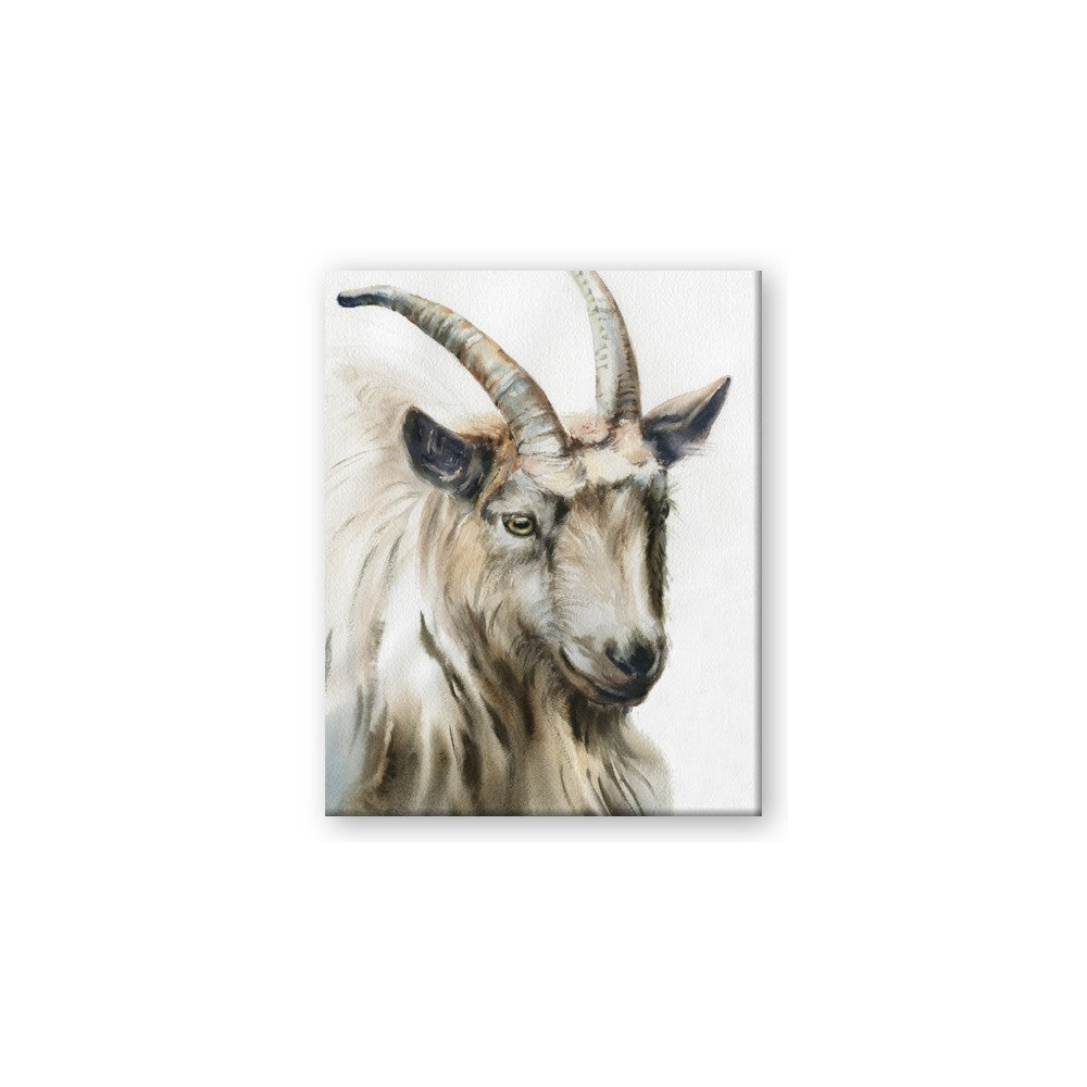 Watercolour Ram