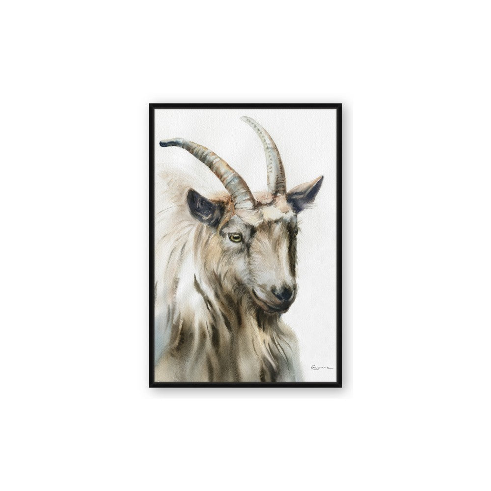 Watercolour Ram