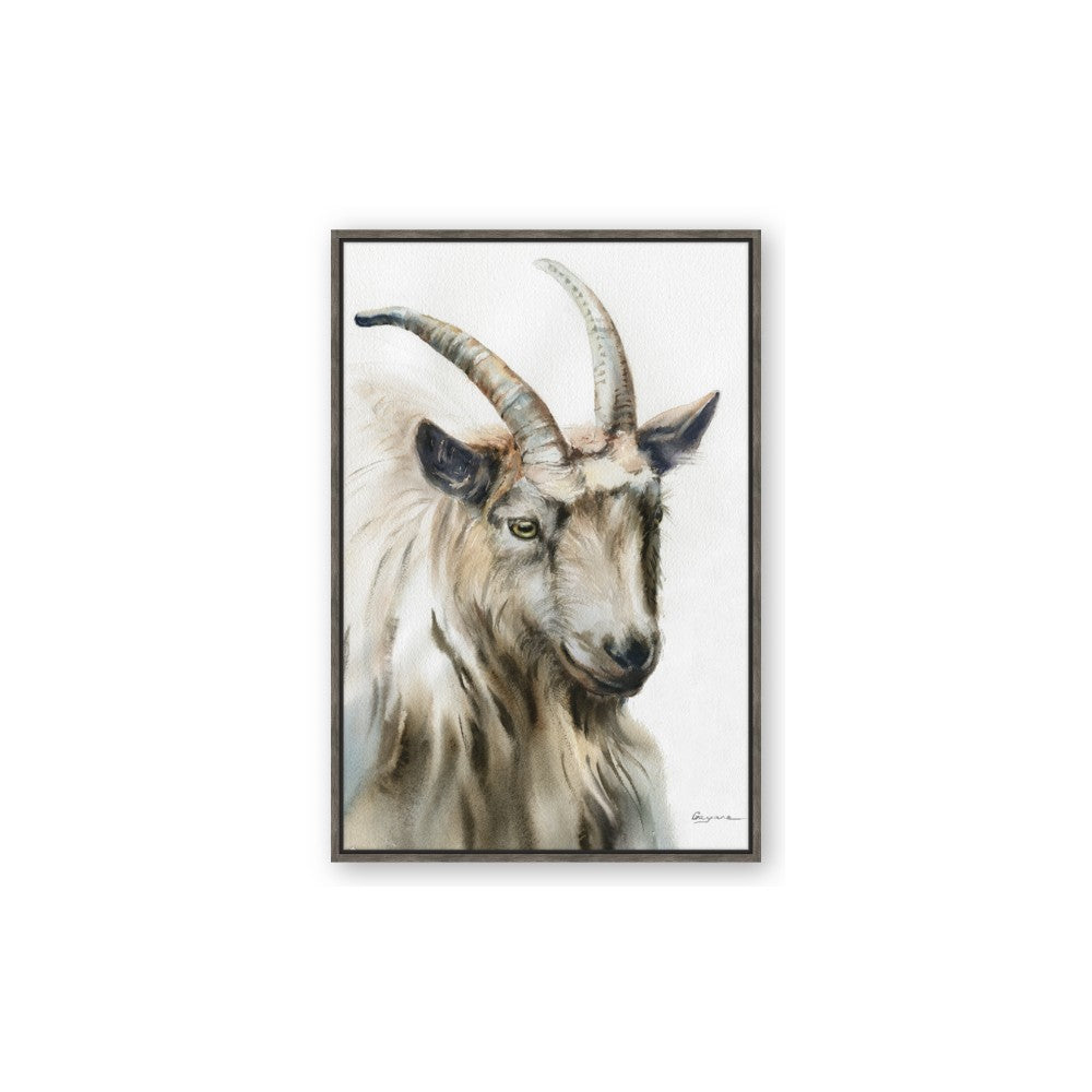Watercolour Ram