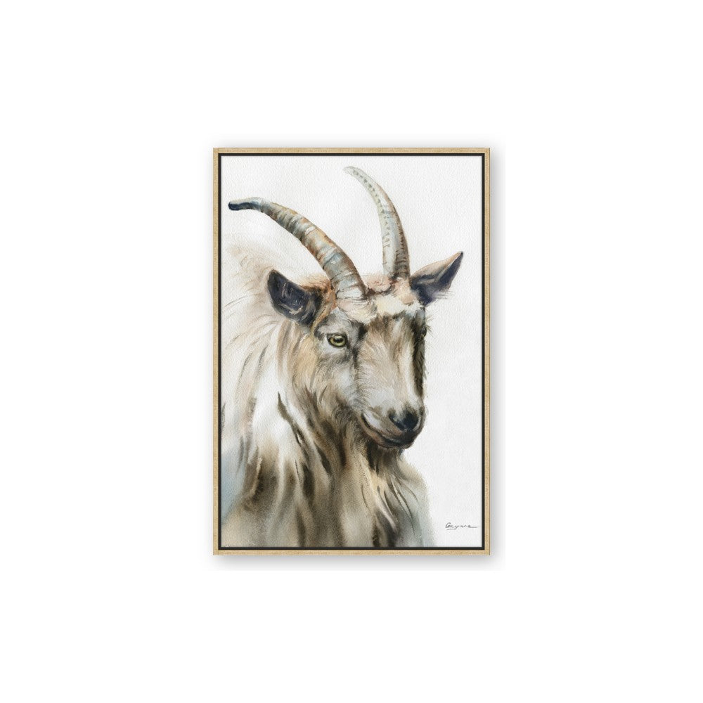 Watercolour Ram