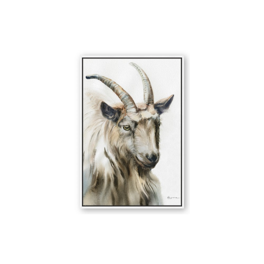Watercolour Ram