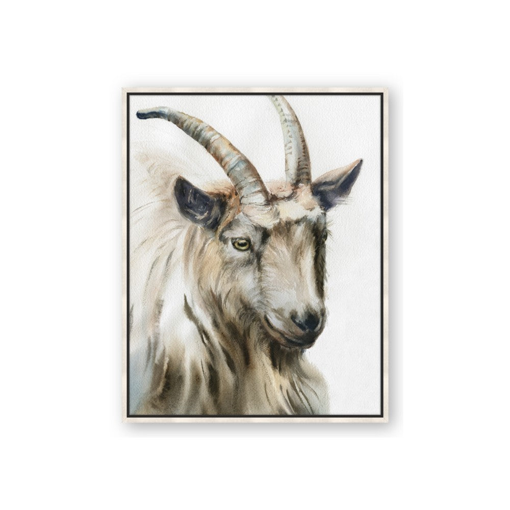Watercolour Ram