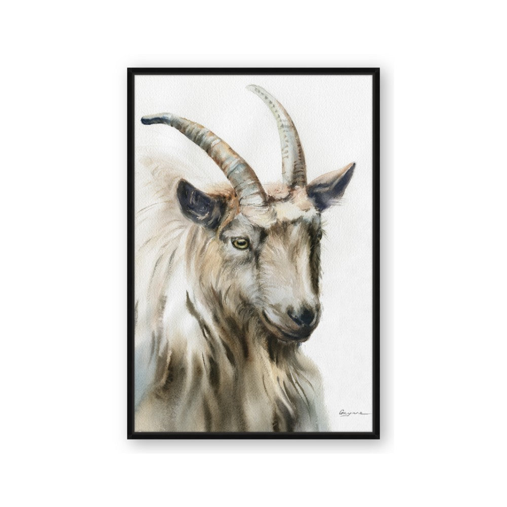 Watercolour Ram
