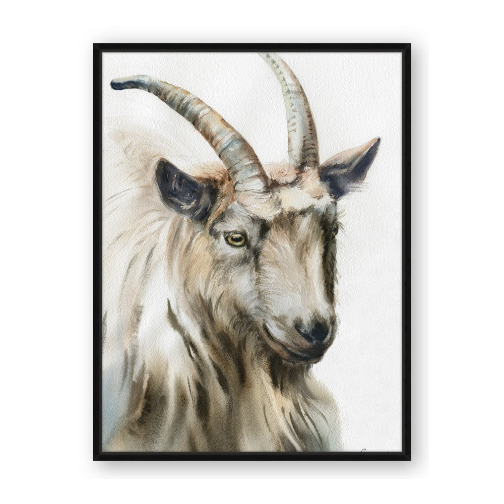 Watercolour Ram