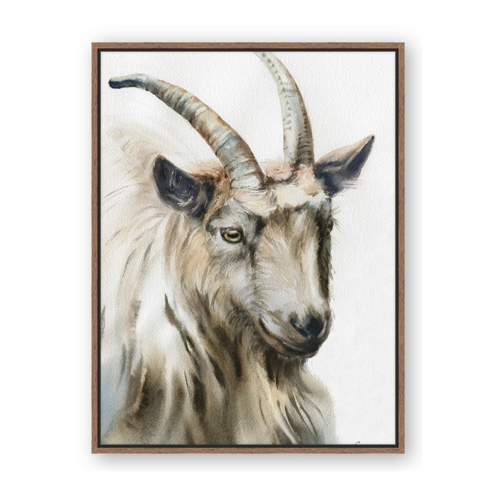 Watercolour Ram