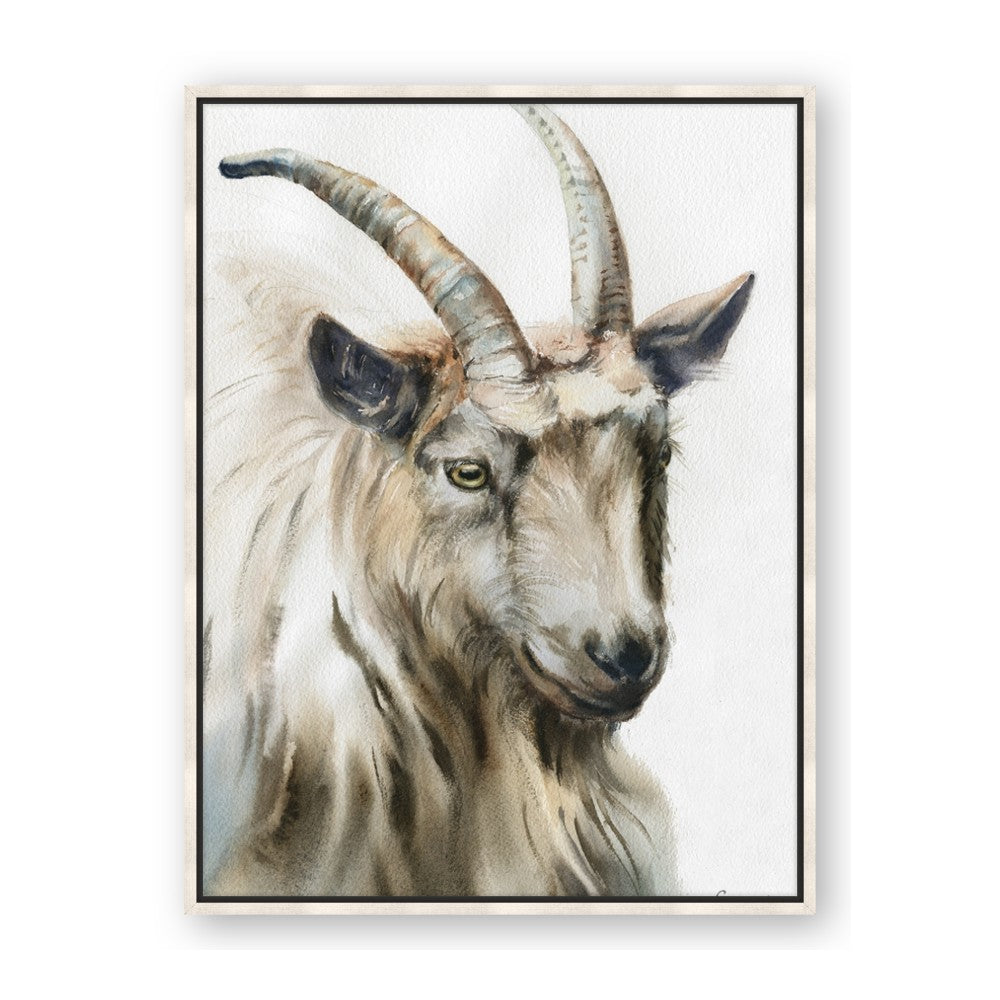 Watercolour Ram