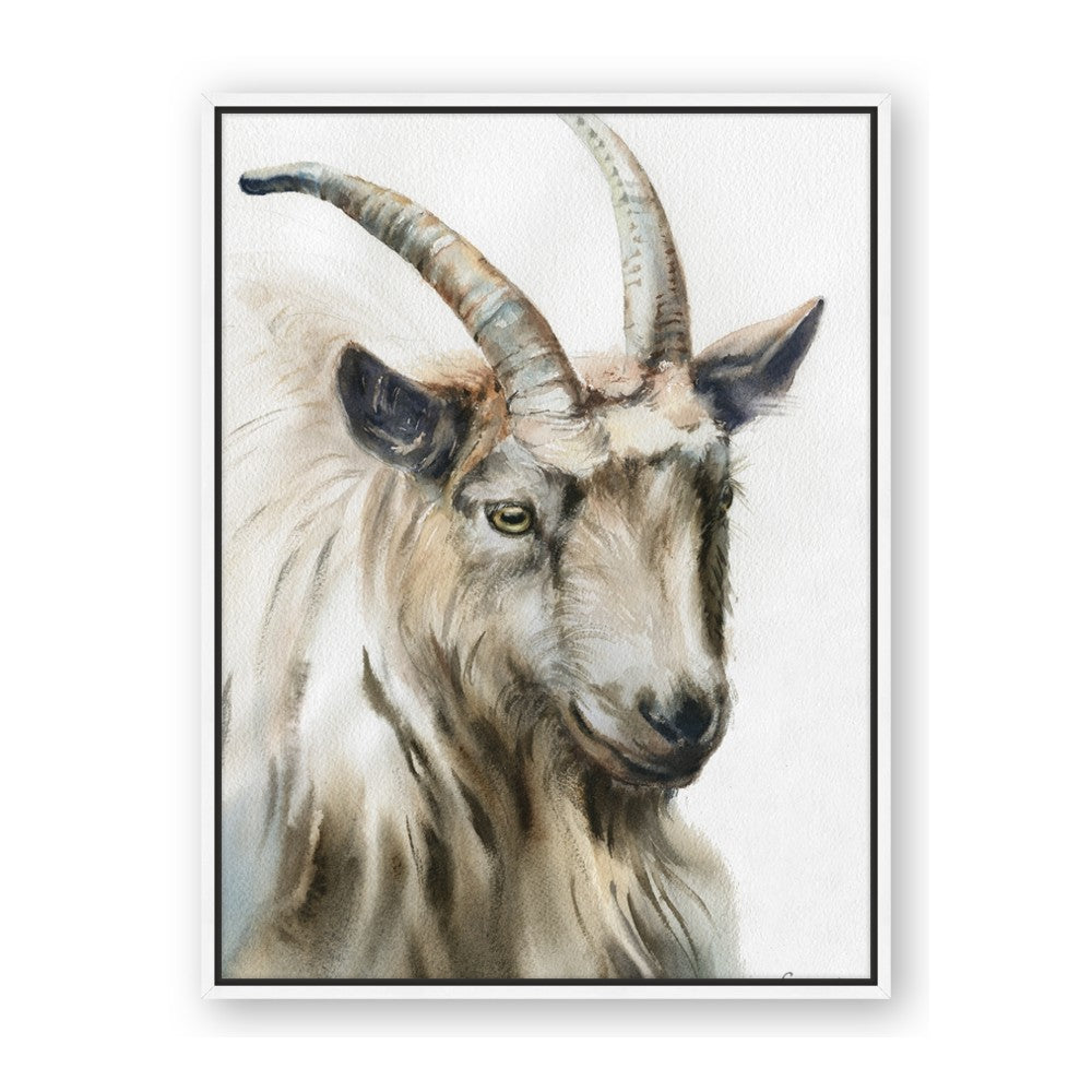 Watercolour Ram