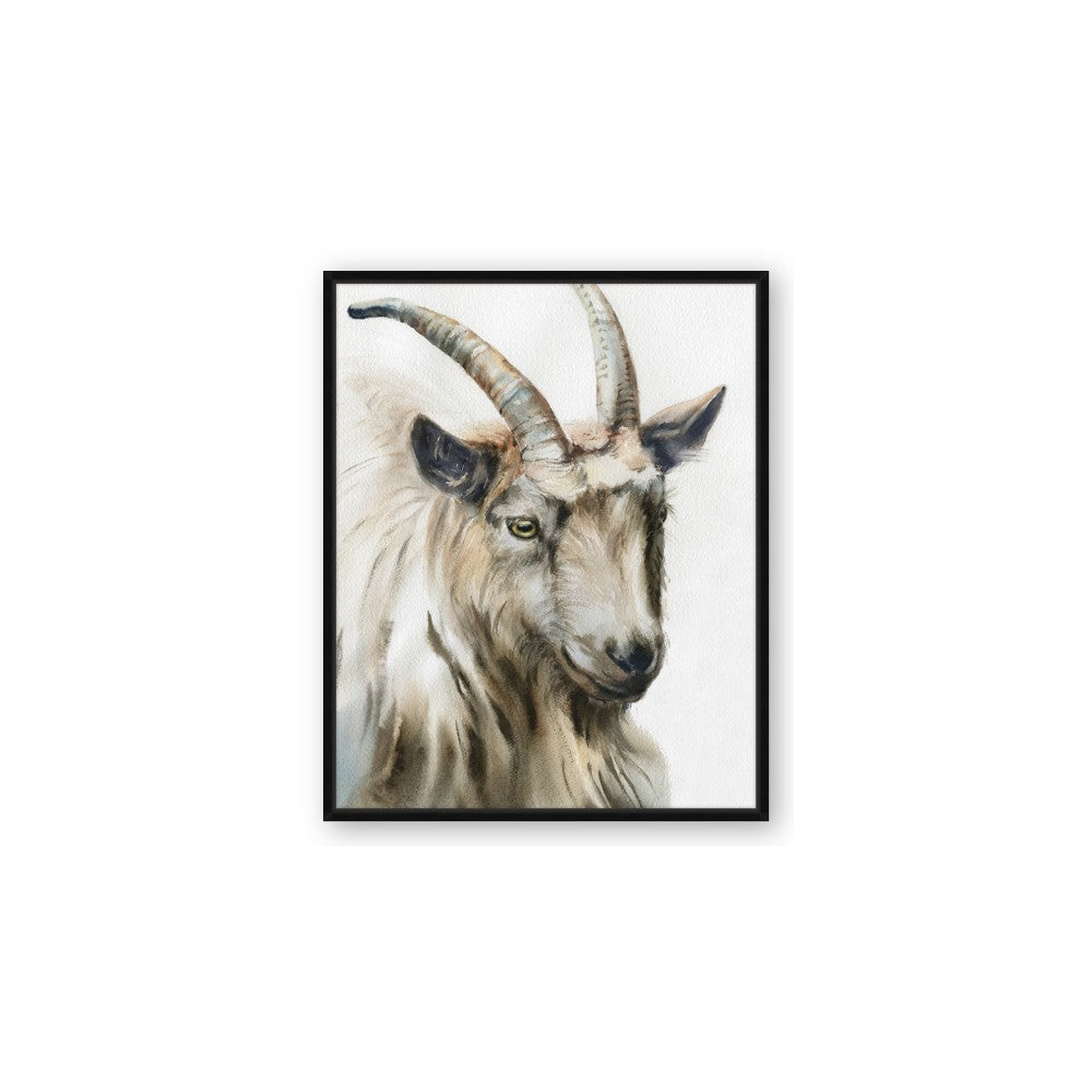 Watercolour Ram