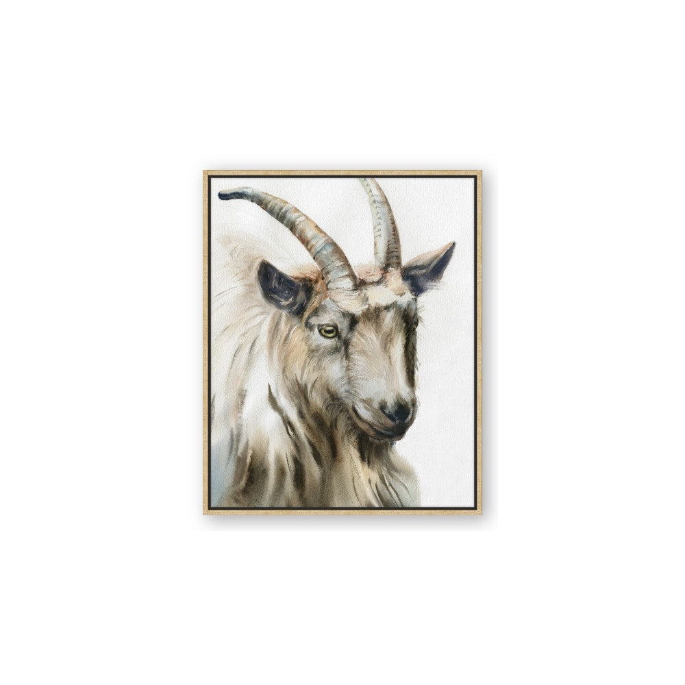 Watercolour Ram