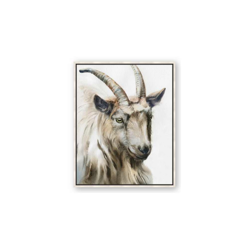Watercolour Ram