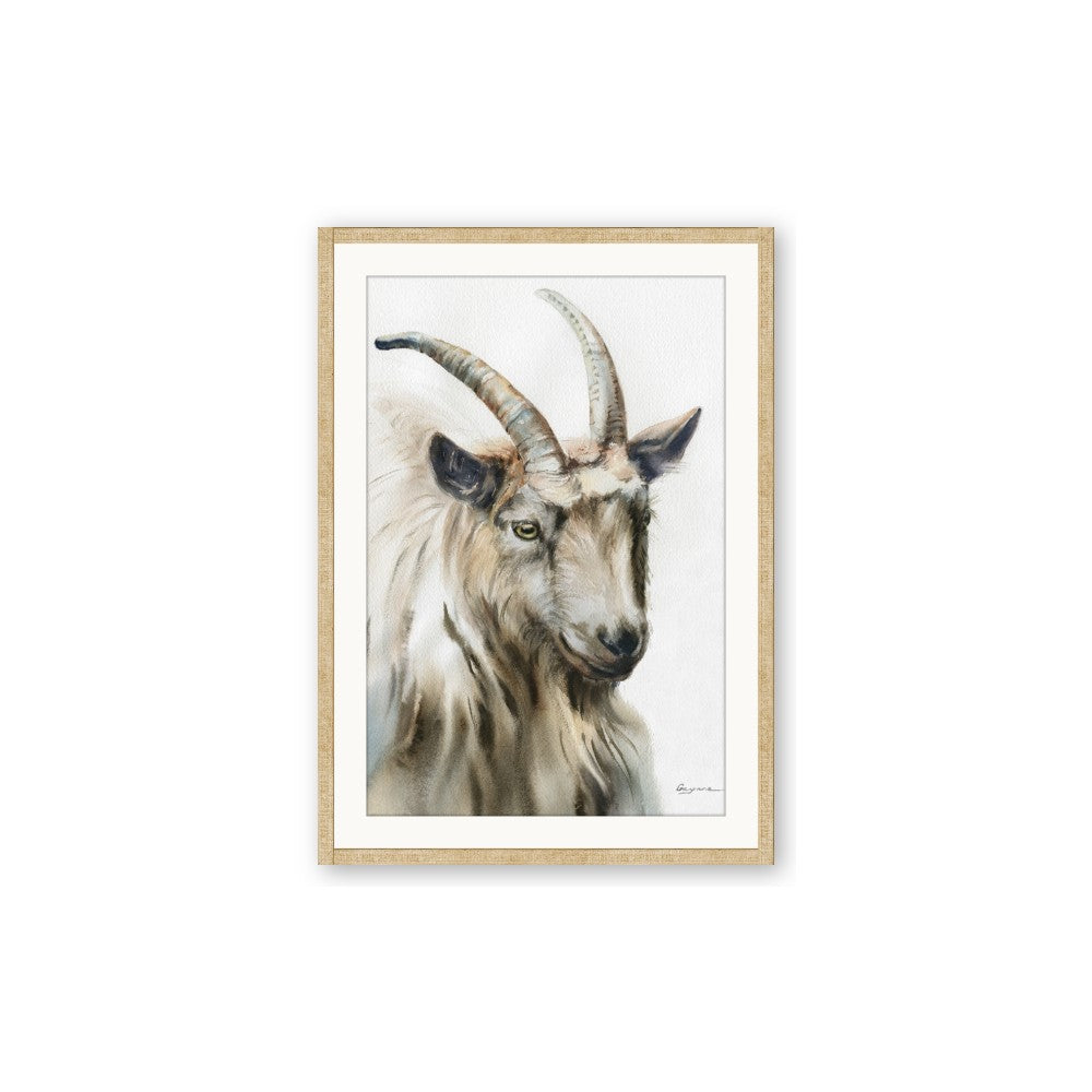 Watercolour Ram