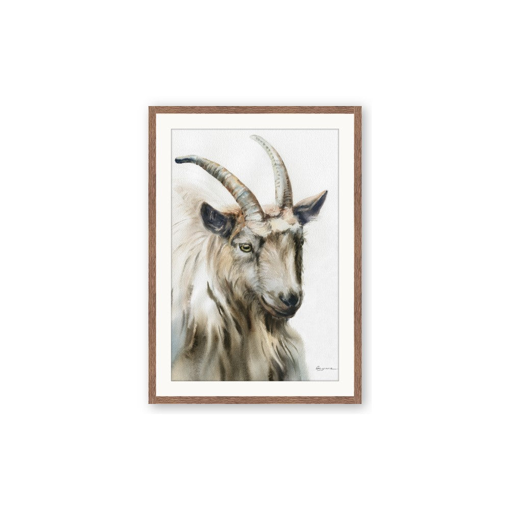 Watercolour Ram