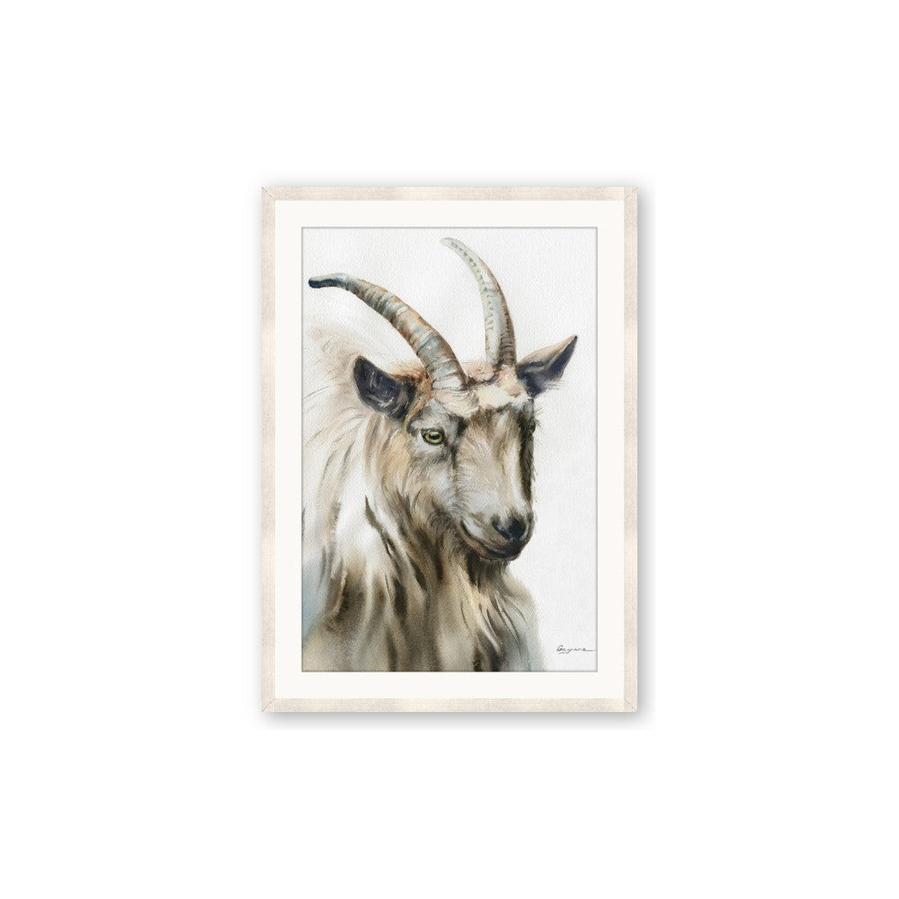 Watercolour Ram
