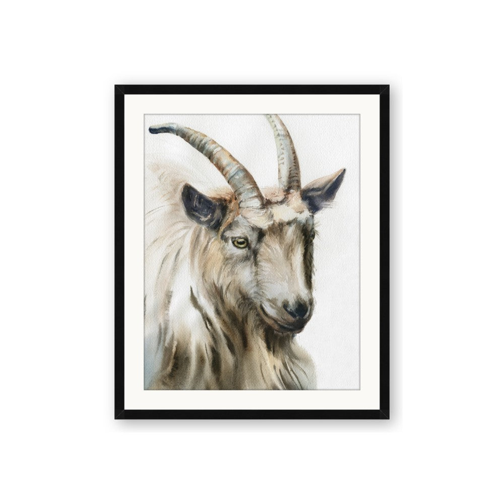 Watercolour Ram