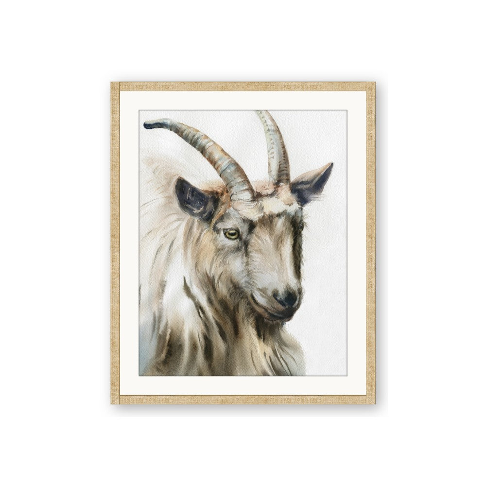 Watercolour Ram