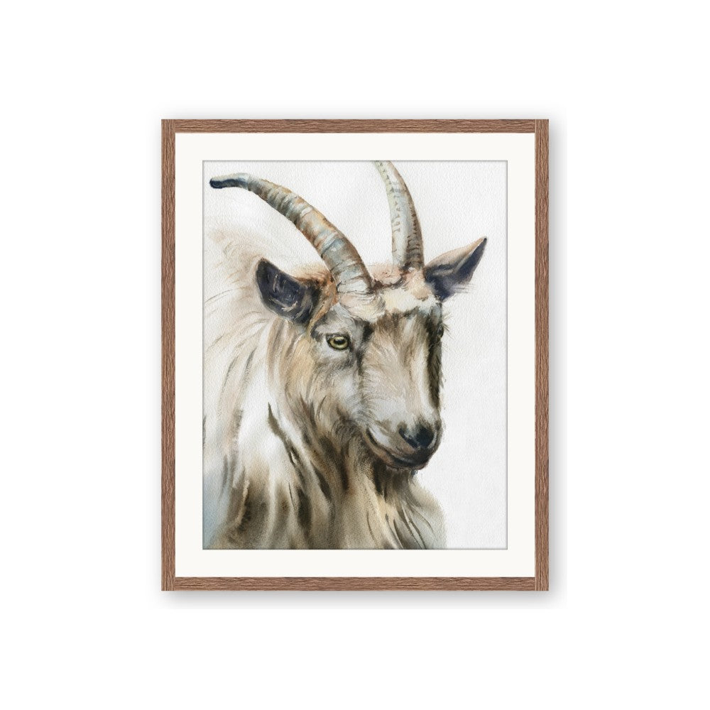 Watercolour Ram