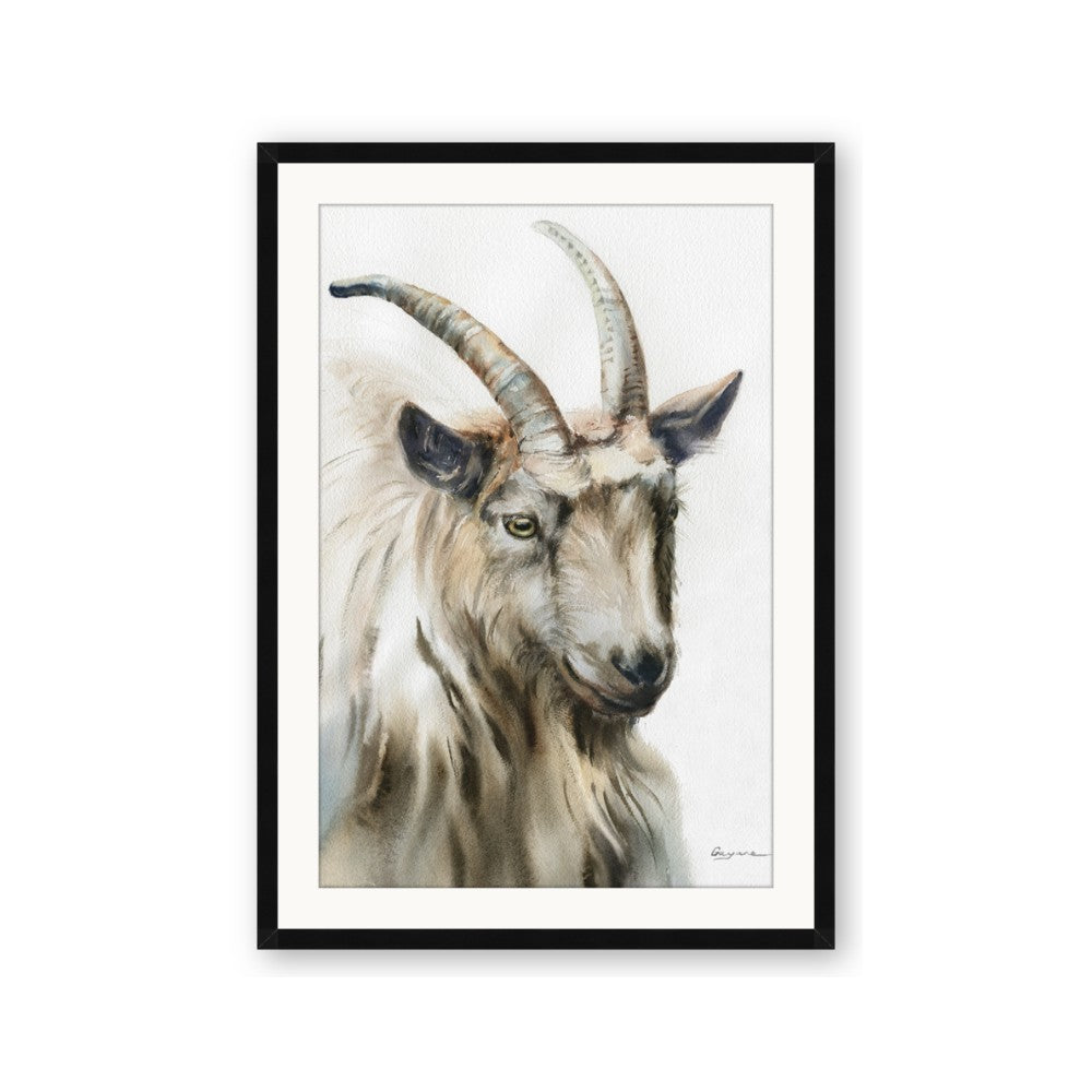 Watercolour Ram