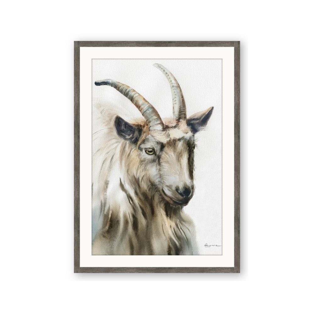 Watercolour Ram