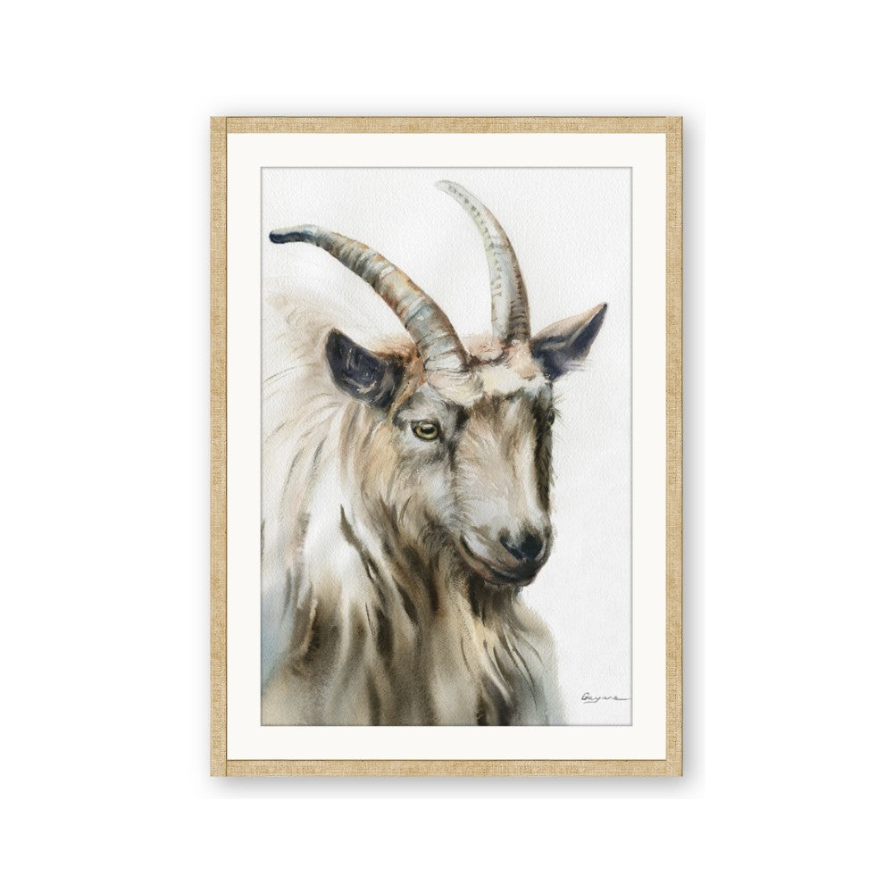 Watercolour Ram