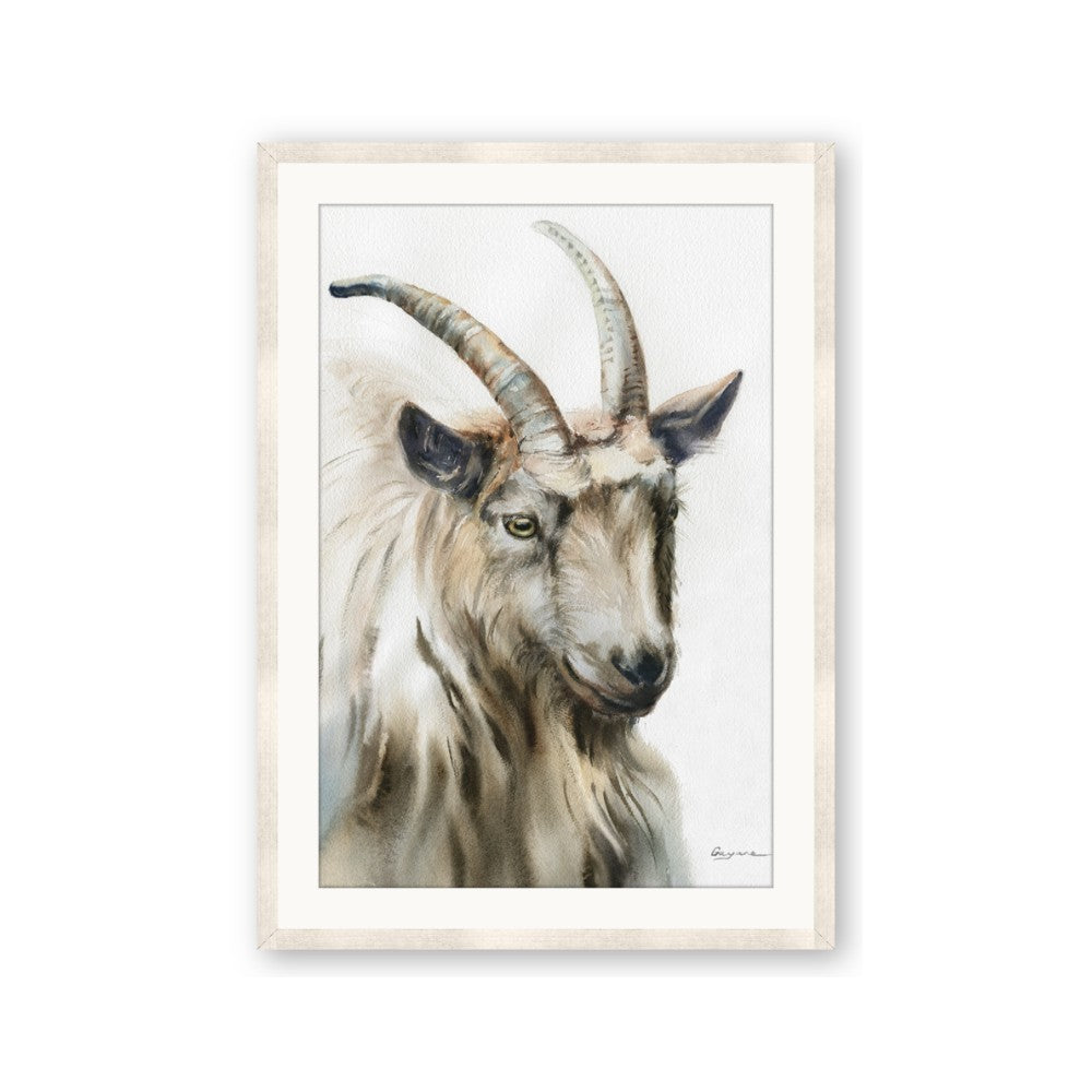Watercolour Ram